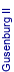 Gusenburg II