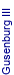 Gusenburg III